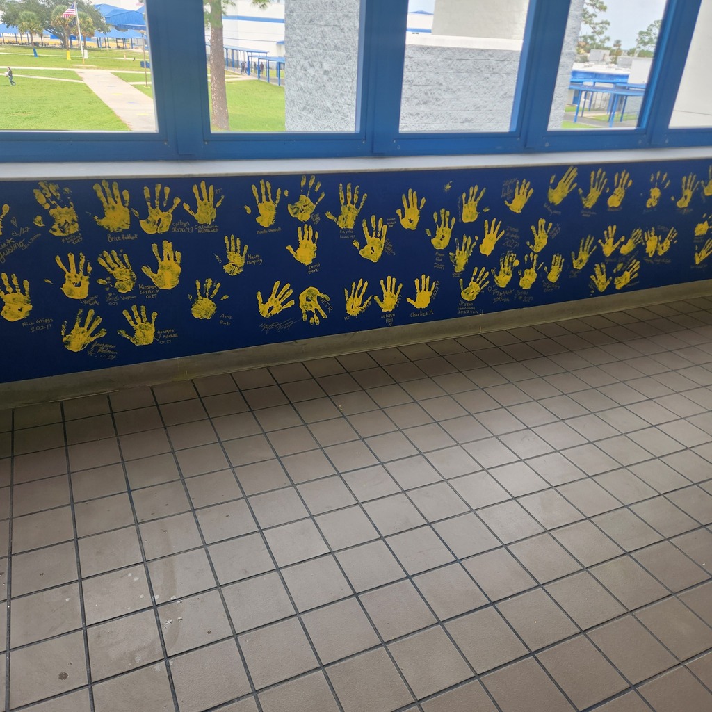 Senior Handprints