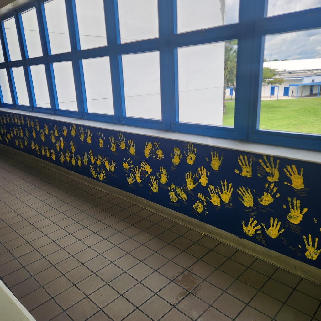 Senior Handprints