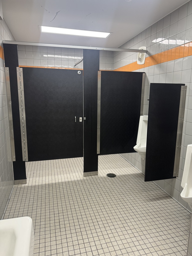 PICTURE OF UPDATED BOYS BATHROOM