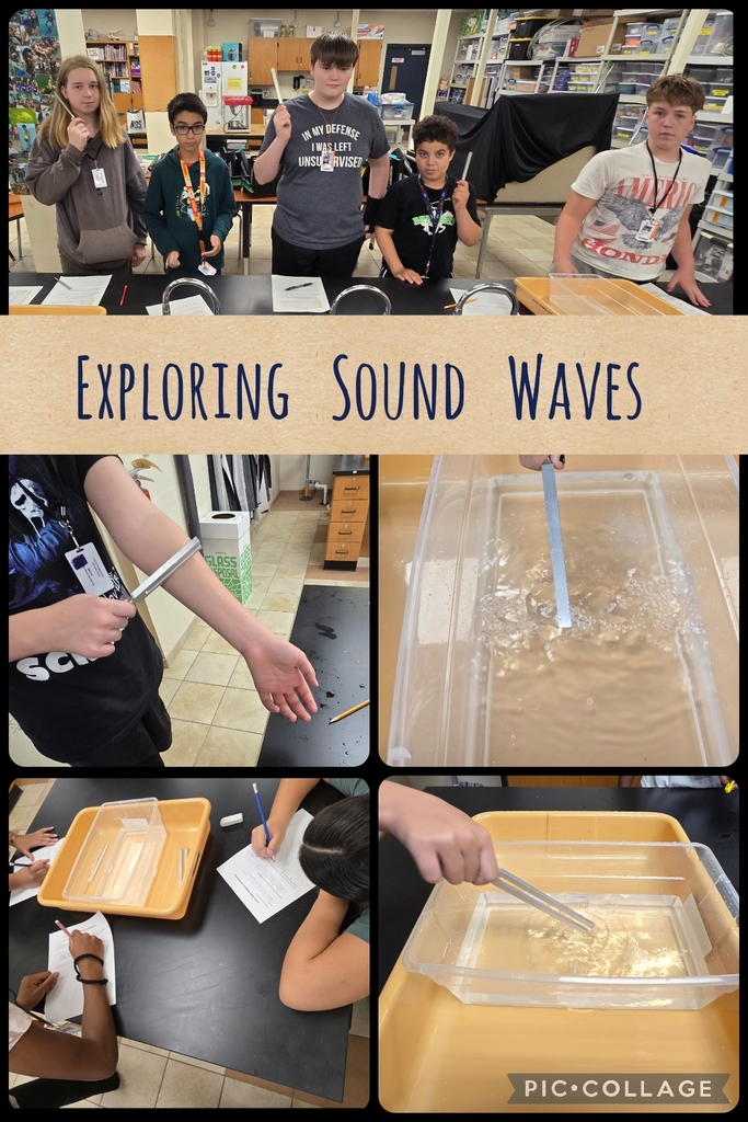 Images of students working with tuning forks and bins of water as they participated in a soundwaves lab.