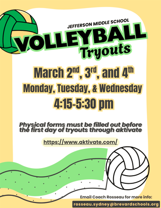 Vollyball Poster