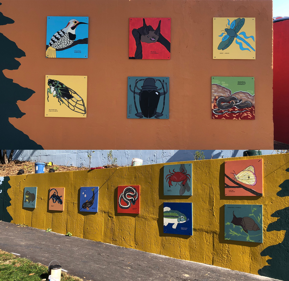Mural Work