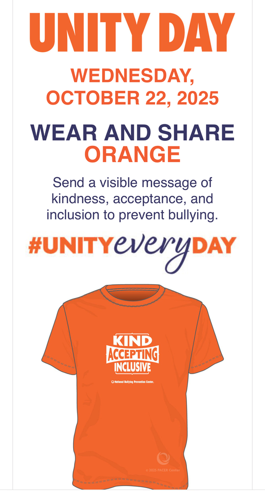 Orange T-shirt for Unity Day