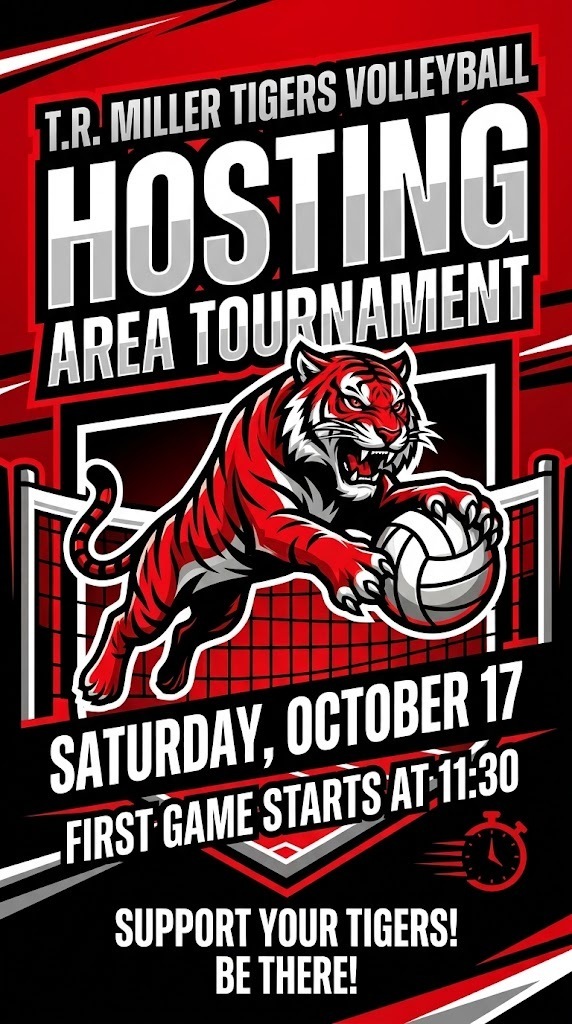 VB AREA TOURN