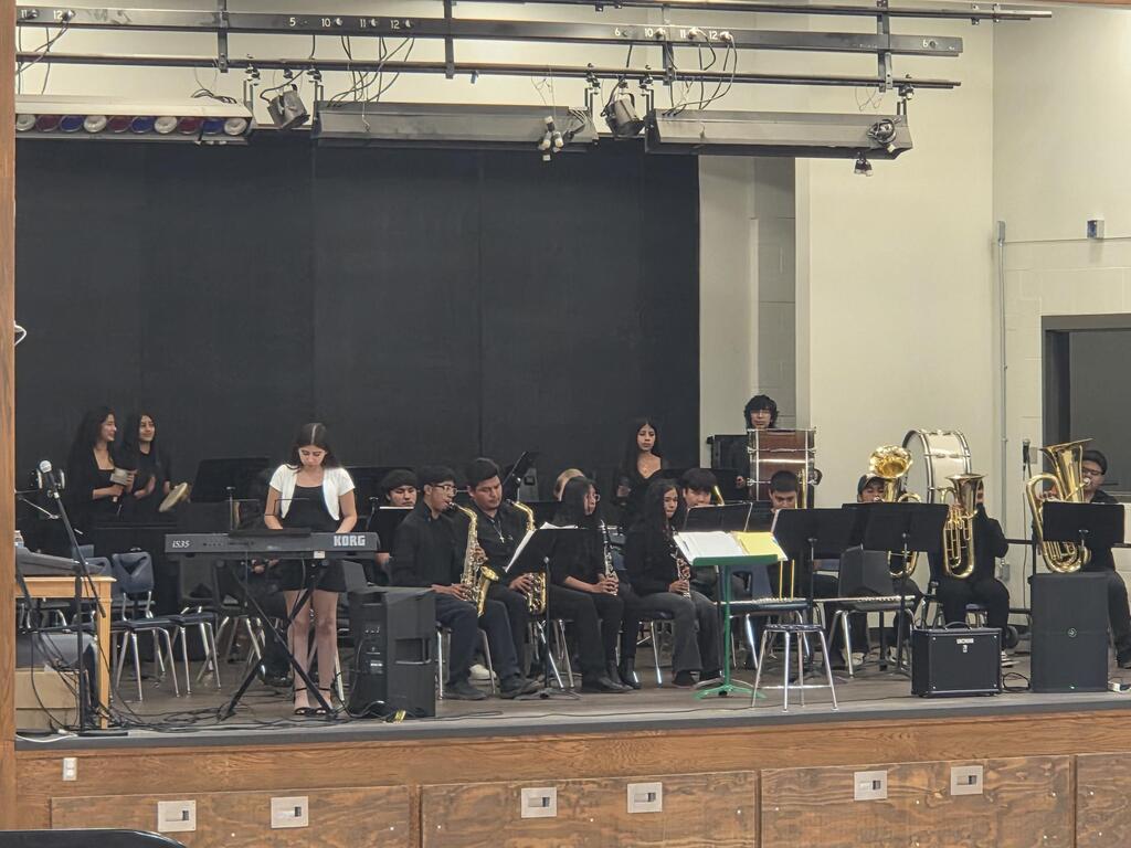 Music Concert 2