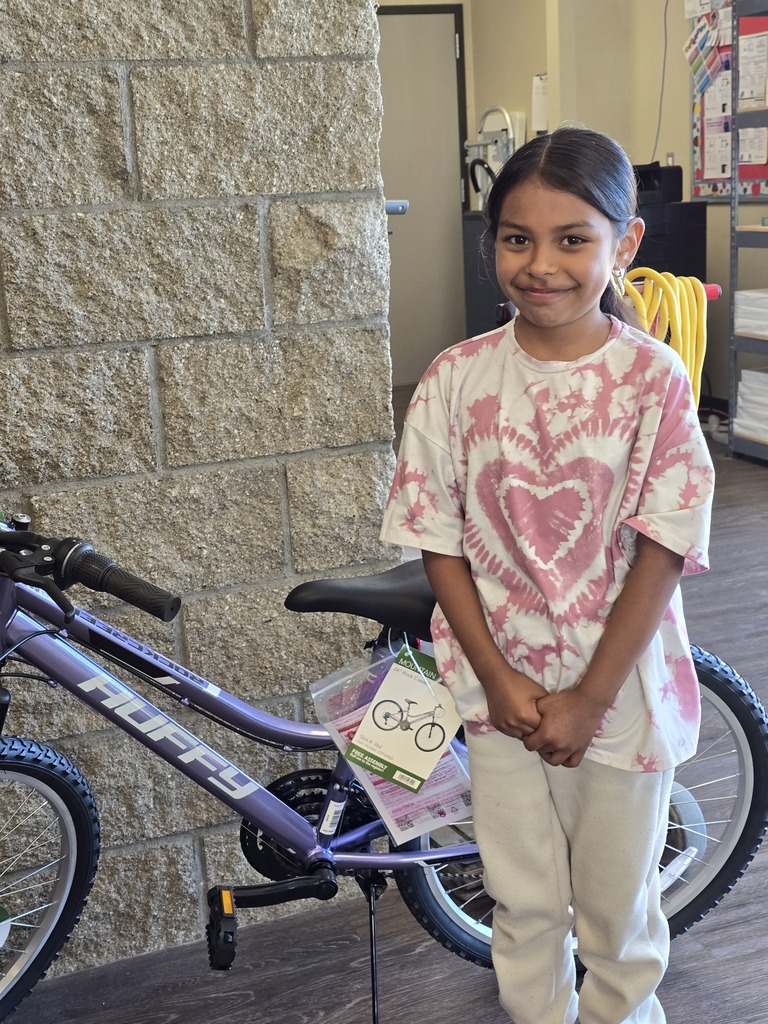 Bike Winner 2
