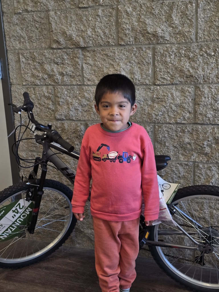 Bike Winner 1