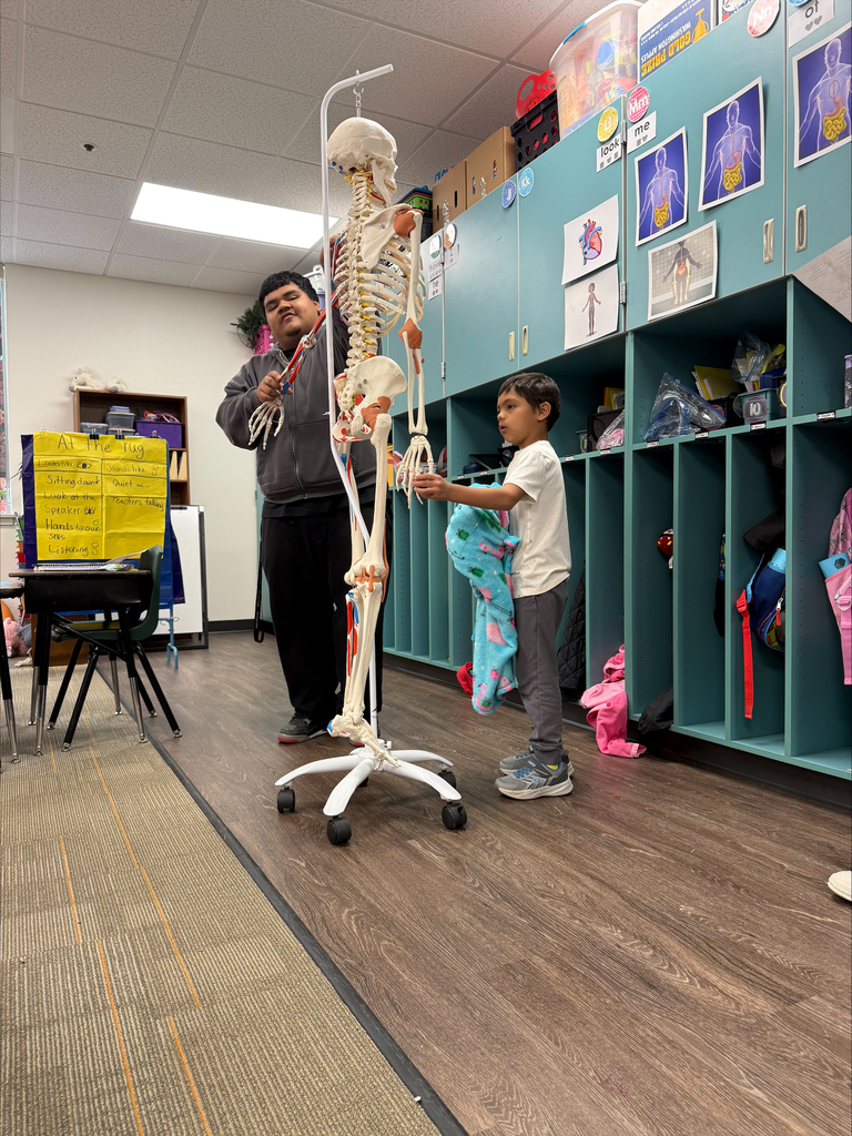 High school student helps an elementary student explore a life-size human skeleton model.