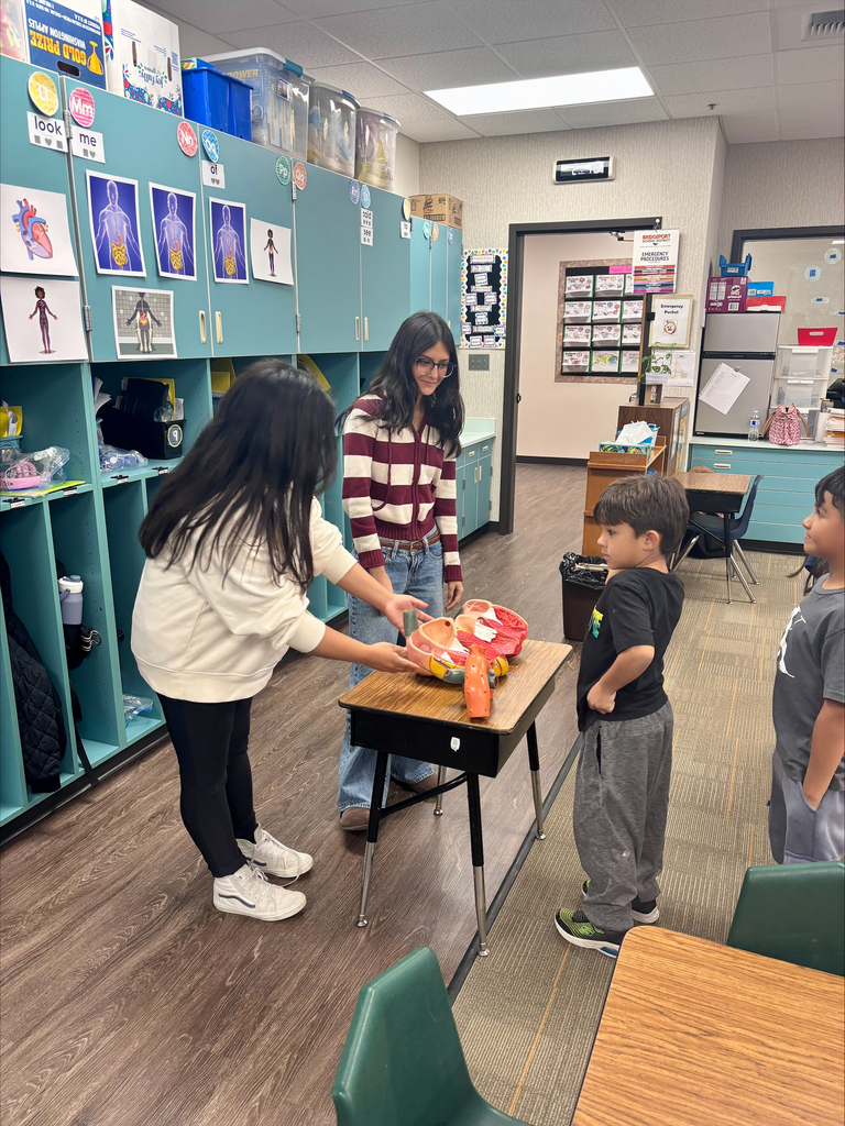 Two high school students demonstrate human organ models to younger students in a classroom.