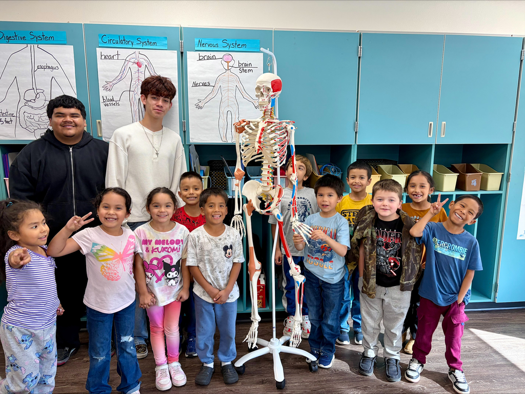 Elementary and high school students pose together around a human skeleton model during a science activity.