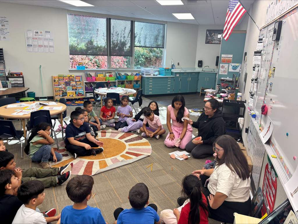 Elementary students gather on a classroom rug to learn about human organs through hands-on demonstrations.