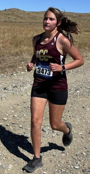 xc