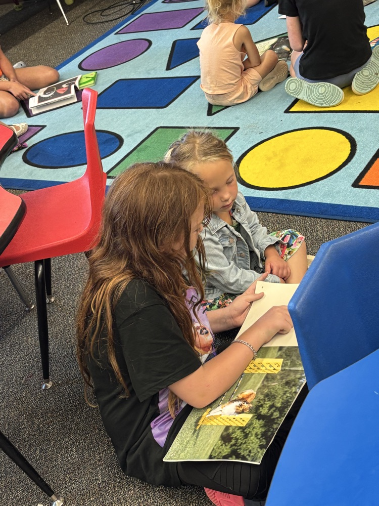 5th - Reading buddies with PreK! 📕