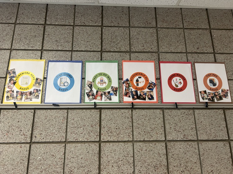 Responsibility Badges