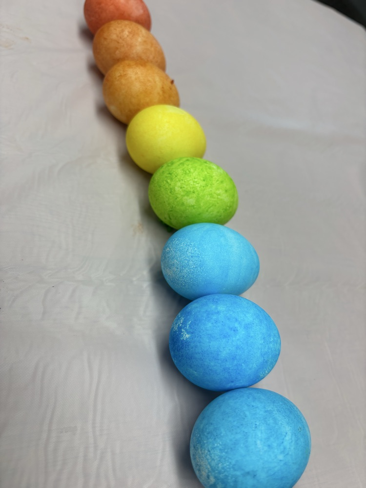 Dying Easter eggs with the residents! 🐣