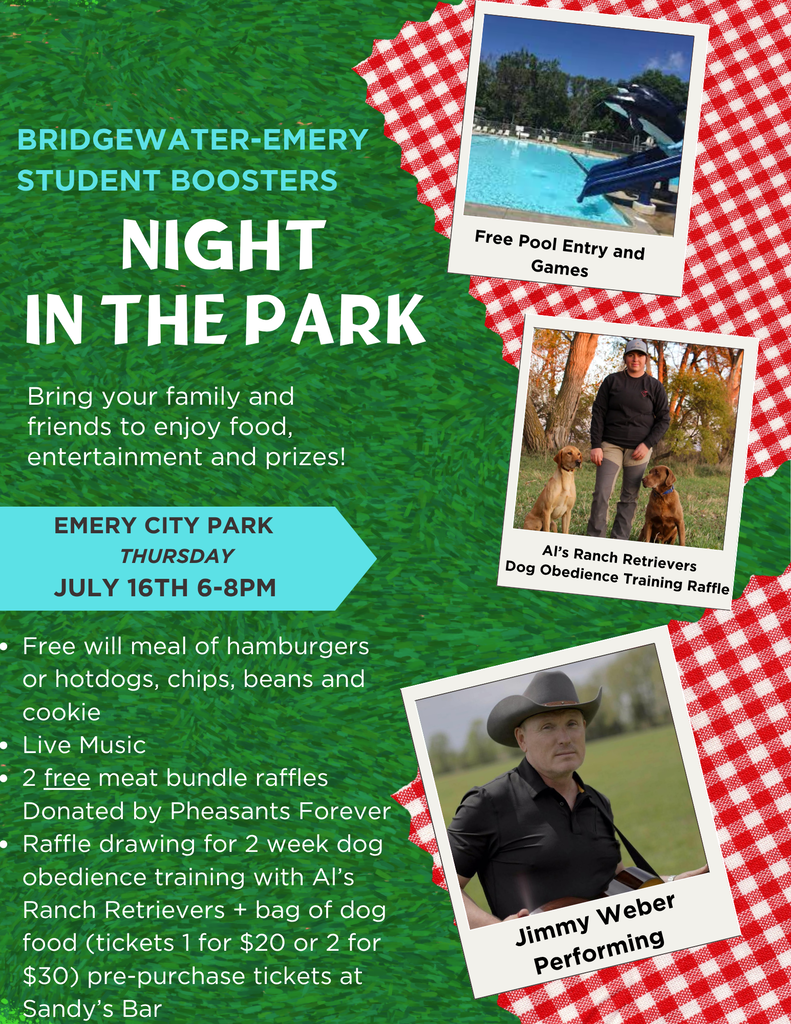 Night in the Park