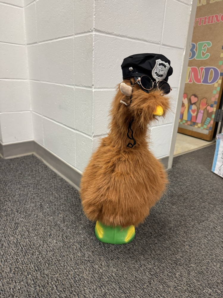 Not sure if I will hear a honk or a moo.