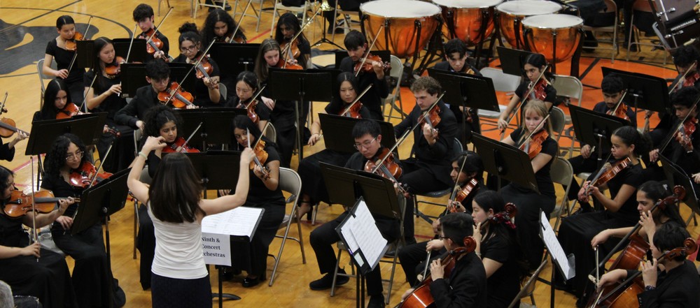 BRHS concert prchestra at festival of arts