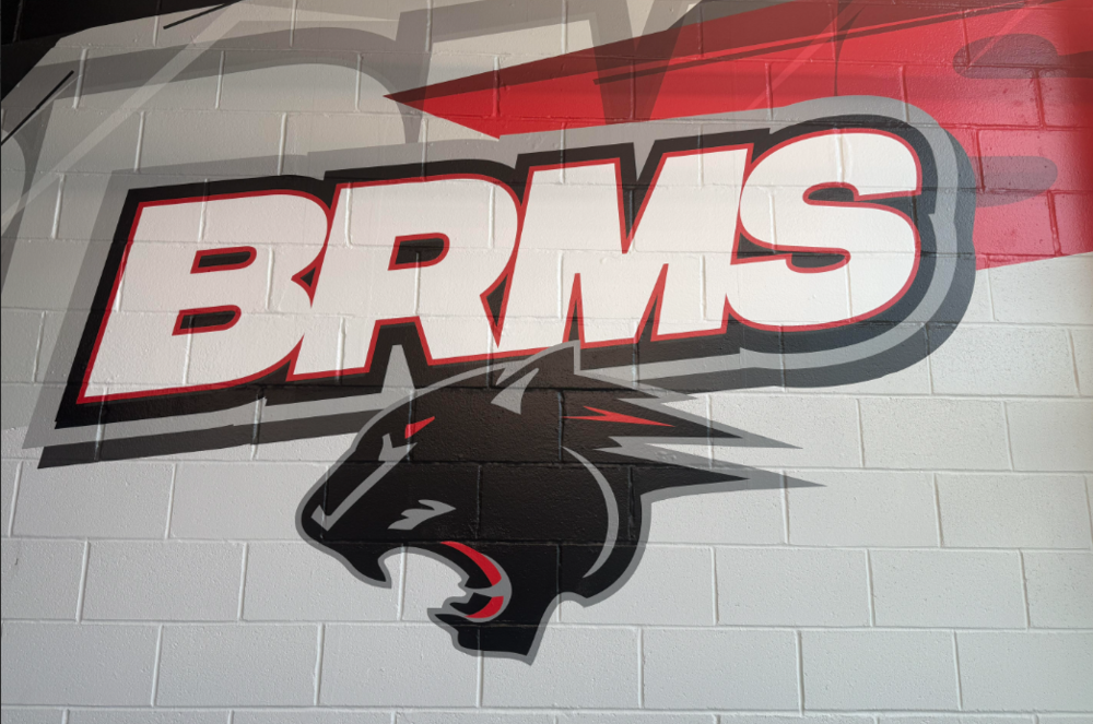 BRMS with Panther Head