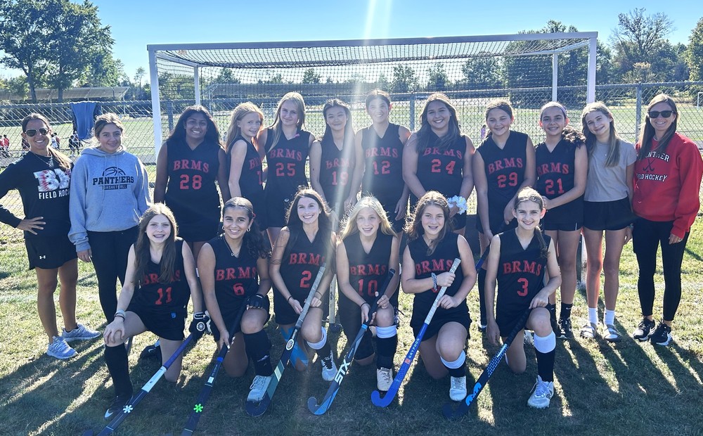 BR MS fiedl hockey