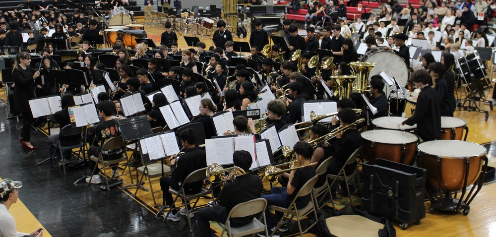 MS 8th garde band at Festival of arts