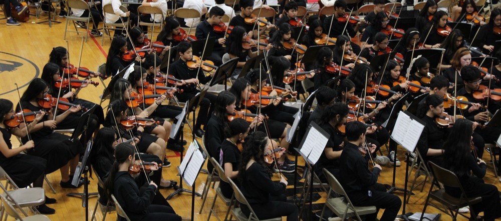 BRMS orchestra at festival of arts