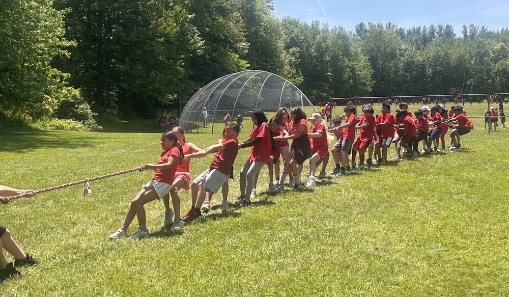 Hamilton field day