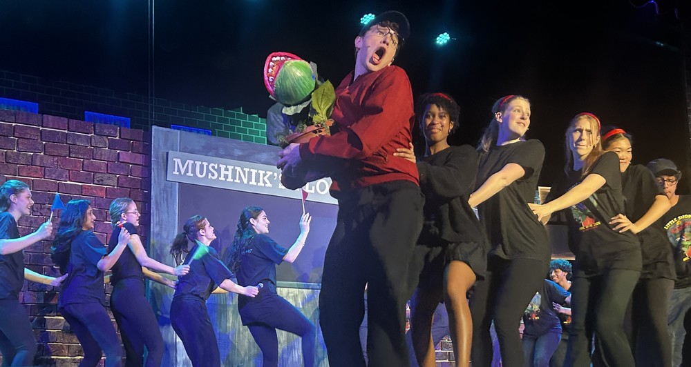 Little shop of horrs