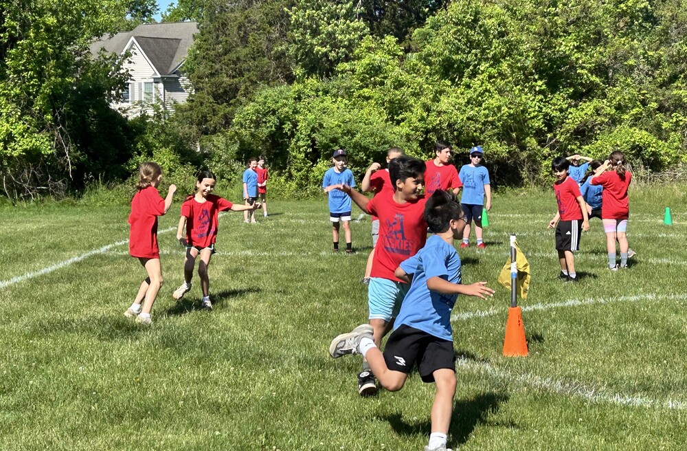VH field day 