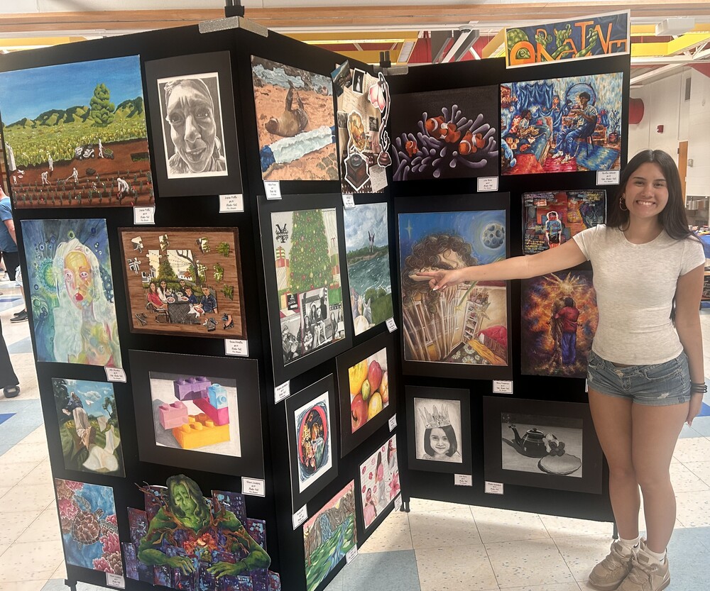 hgh school visual art