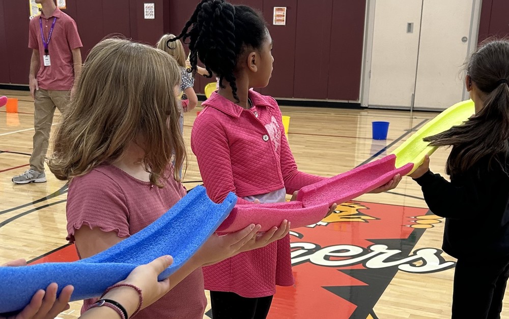 hamilton phys ed classes