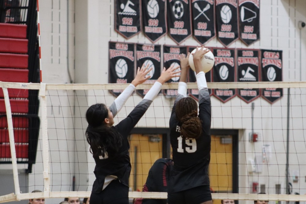 BR volleyball
