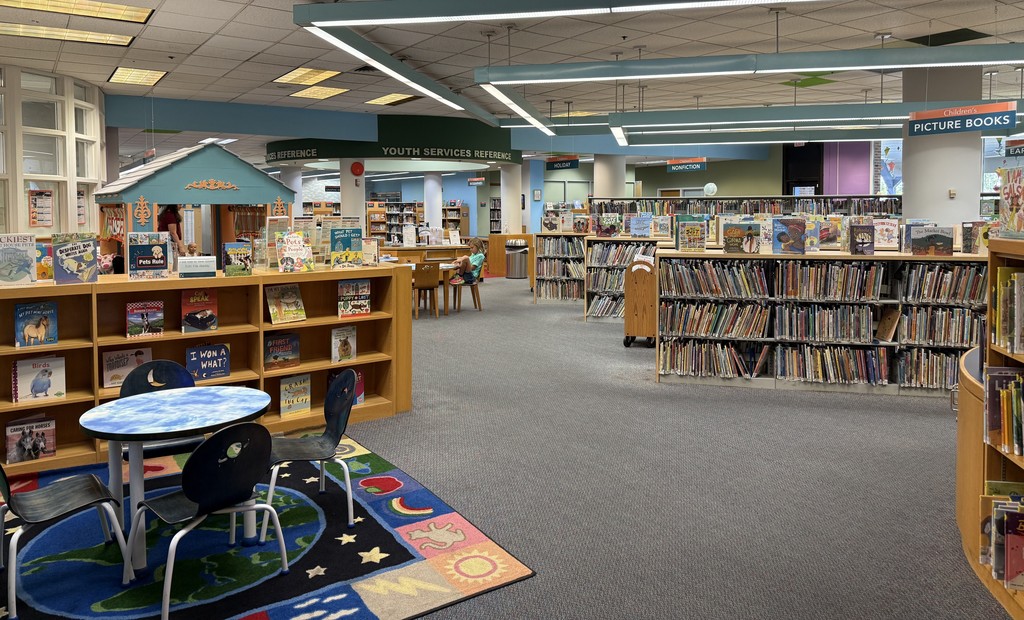 BR library youth section