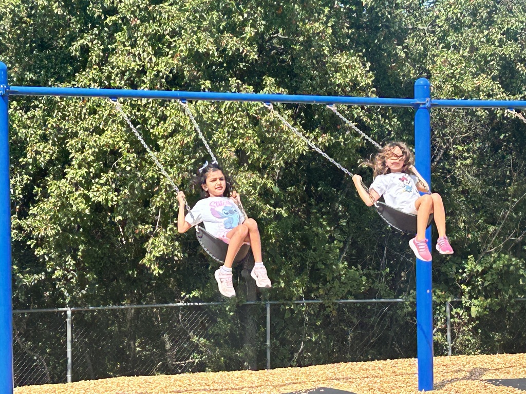 mill swings