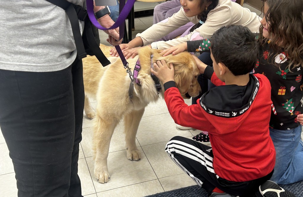 hamilton dog visit 1