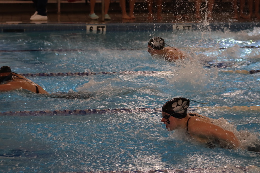 Br hillsborough swim 2