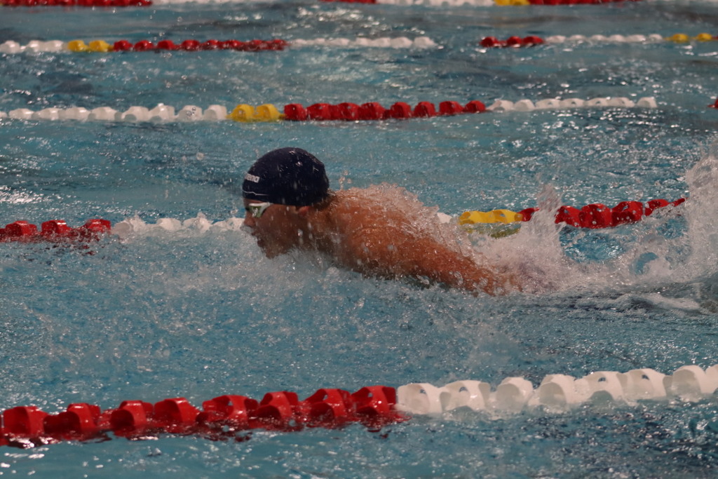 BRHS WHS stat swim 1