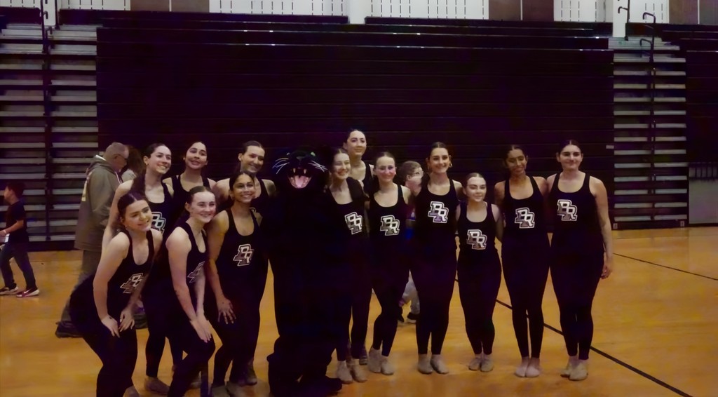 BR dancrs at nfl game