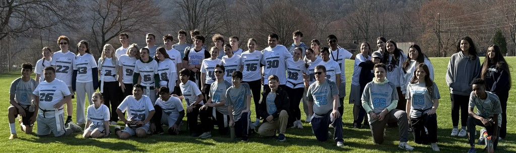 unifie dfootball flag