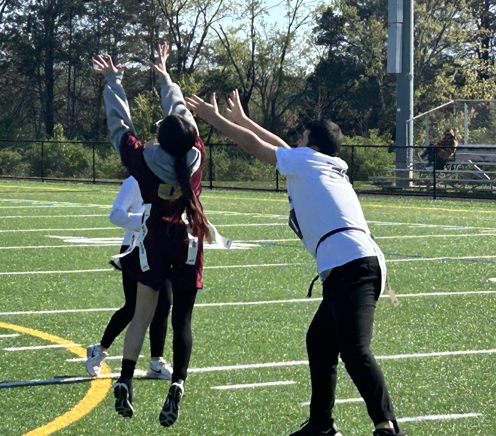 brhs unifie d6 vs union