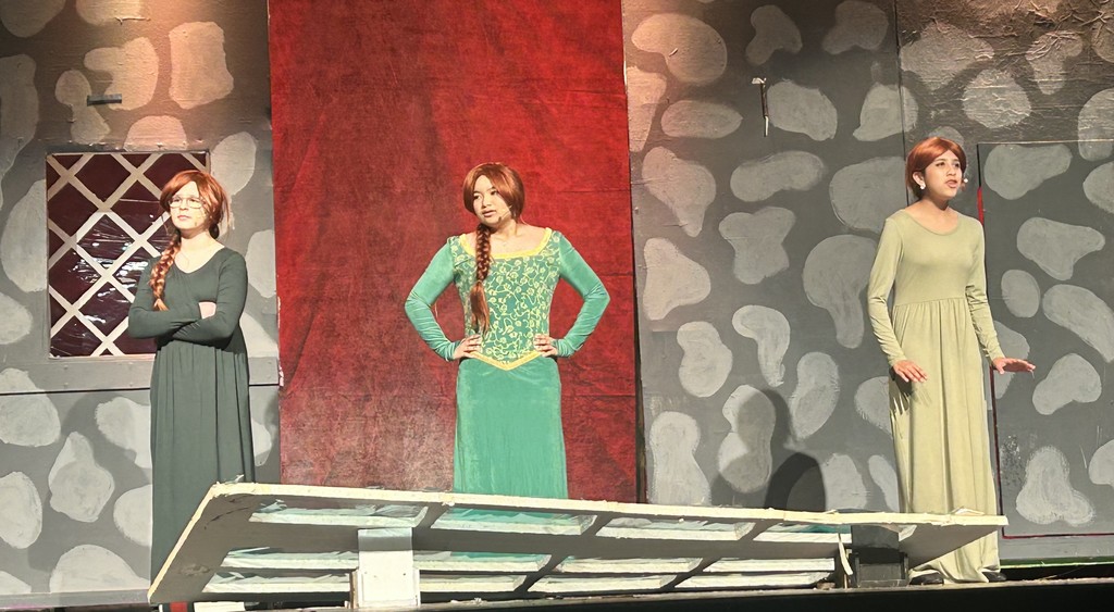 shrek 11