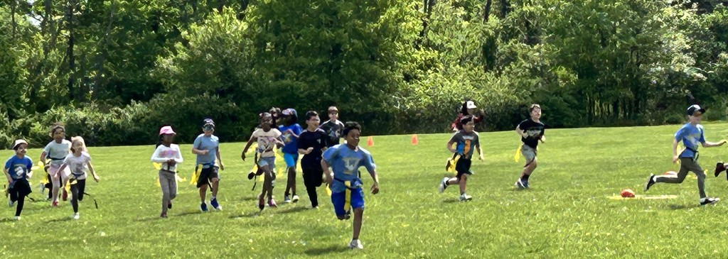 av field 8