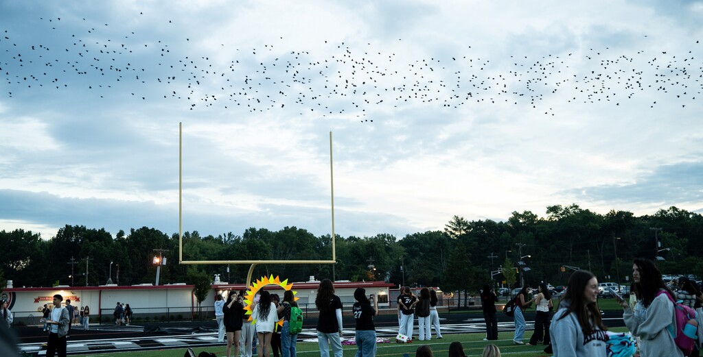 senior sunset pape rin sky