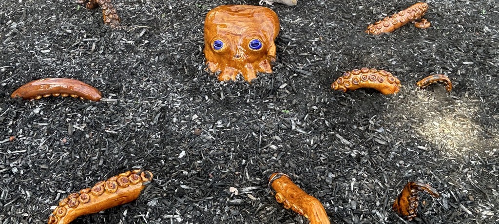 Octopus at BRHS