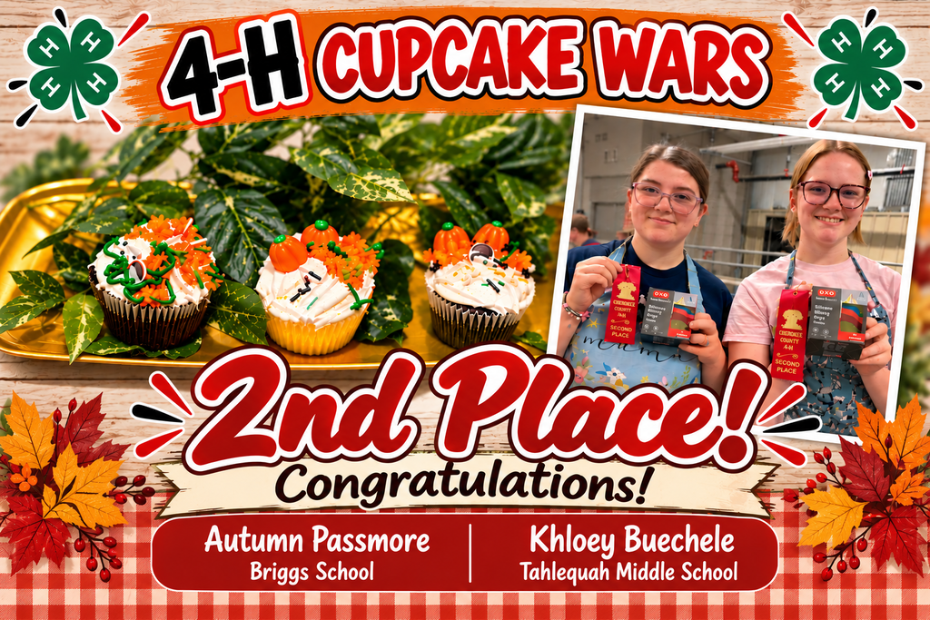 cupcake wars
