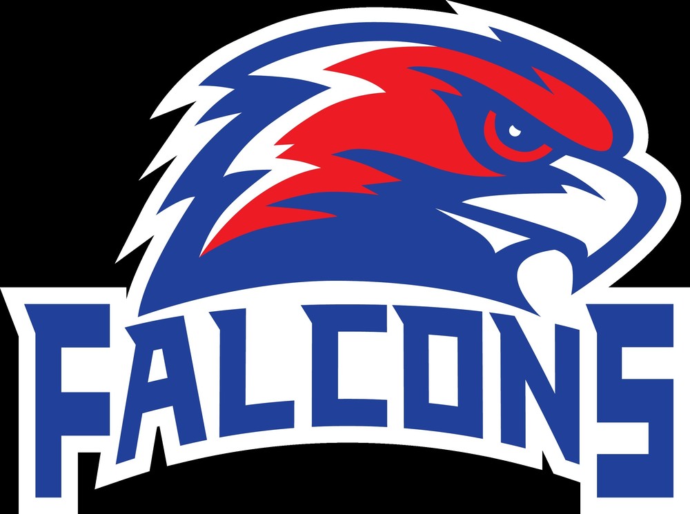 Falcon Mascot