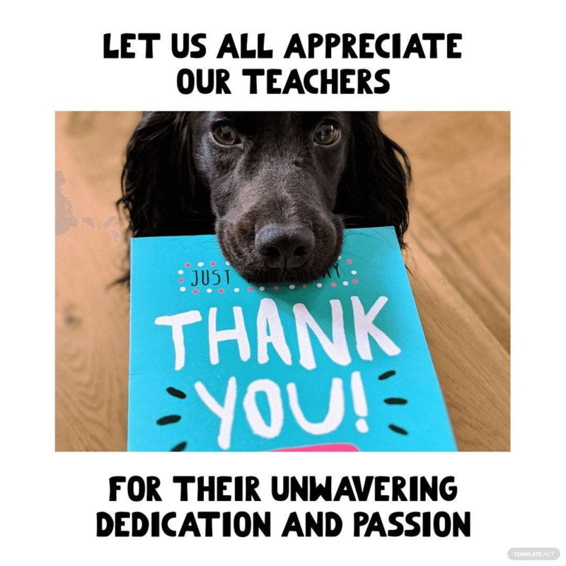 Teacher Appreciation
