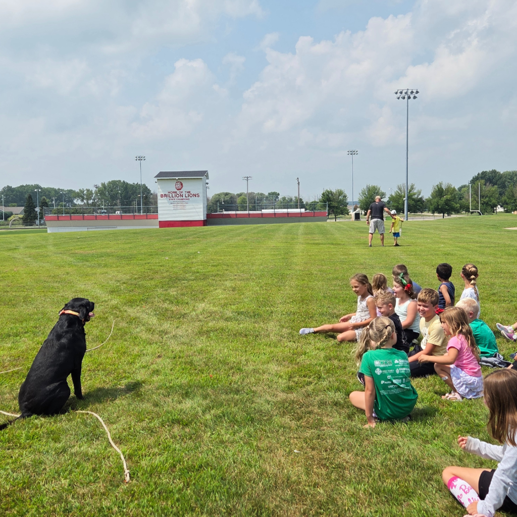 Dog Training2