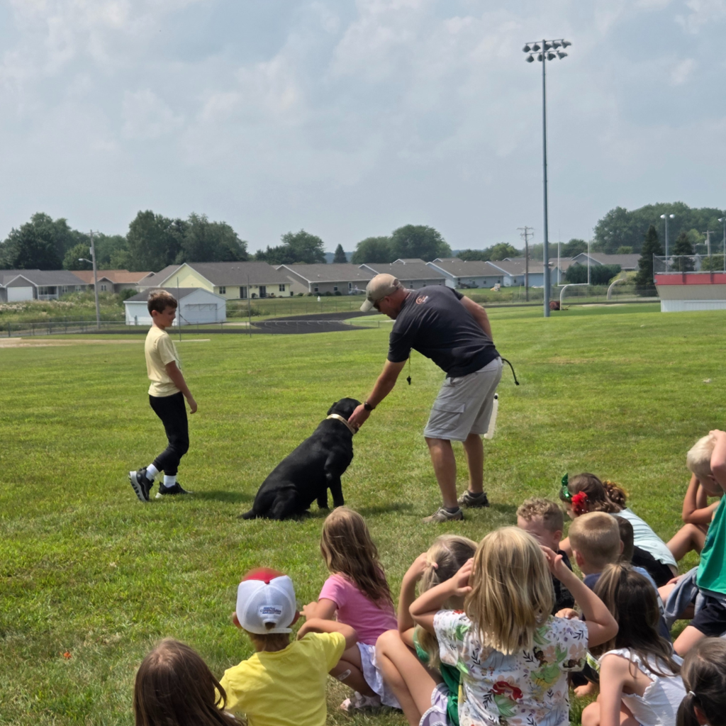 Dog Training