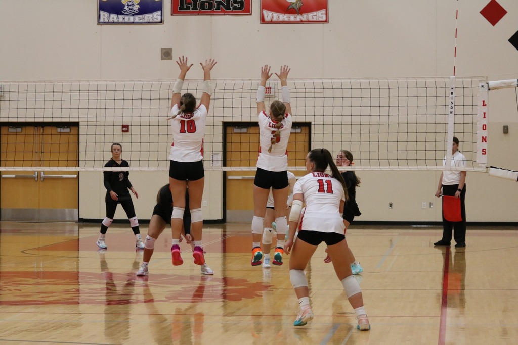Volleyball
